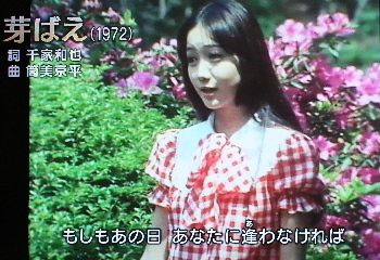 芽ばえ.jpg