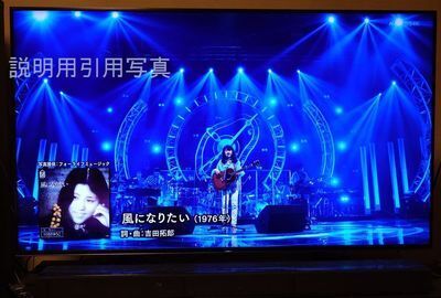 風になりたいブログ.jpg