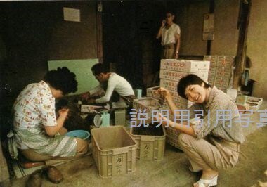 E週刊平凡19770908甲州(夏、初秋)2.jpg