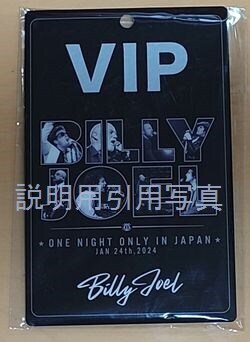 VIPラミネートパス2.jpg