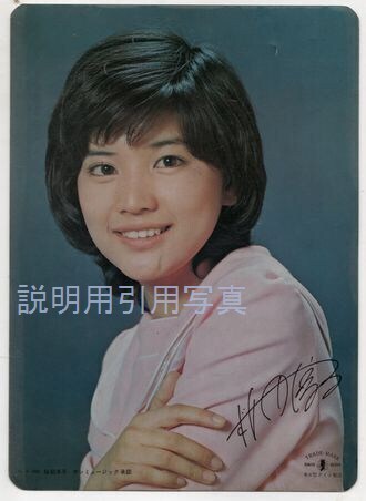 桜田淳子下敷き.jpg