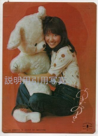 浅田美代子1.jpg